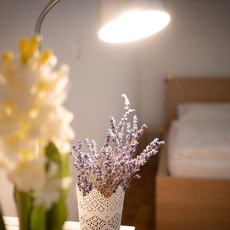 Free Parking! Linden Apartment, Ac, Smart Tv, Wifi Budapest Esterno foto