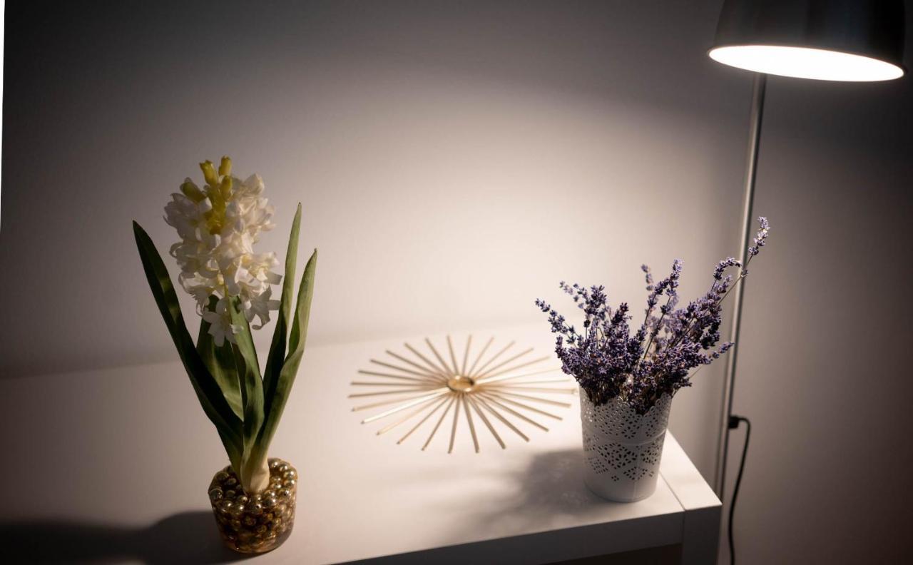 Free Parking! Linden Apartment, Ac, Smart Tv, Wifi Budapest Esterno foto